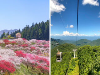 花桃の里と水芭蕉の群生地