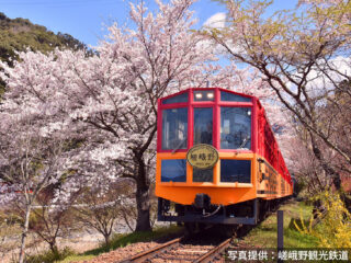 春の嵯峨野トロッコと桜咲く京都・嵐山