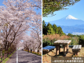 駿河・川根路ウォーキング