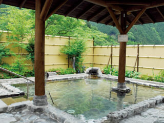 【温泉バス】梅ヶ島温泉　黄金の湯