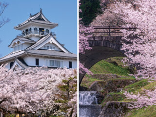 長浜・豊公園と霞間ヶ渓公園